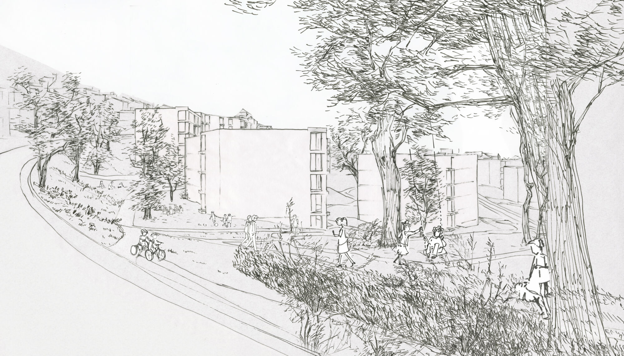 Goldacker WB birmensdorferstrasse