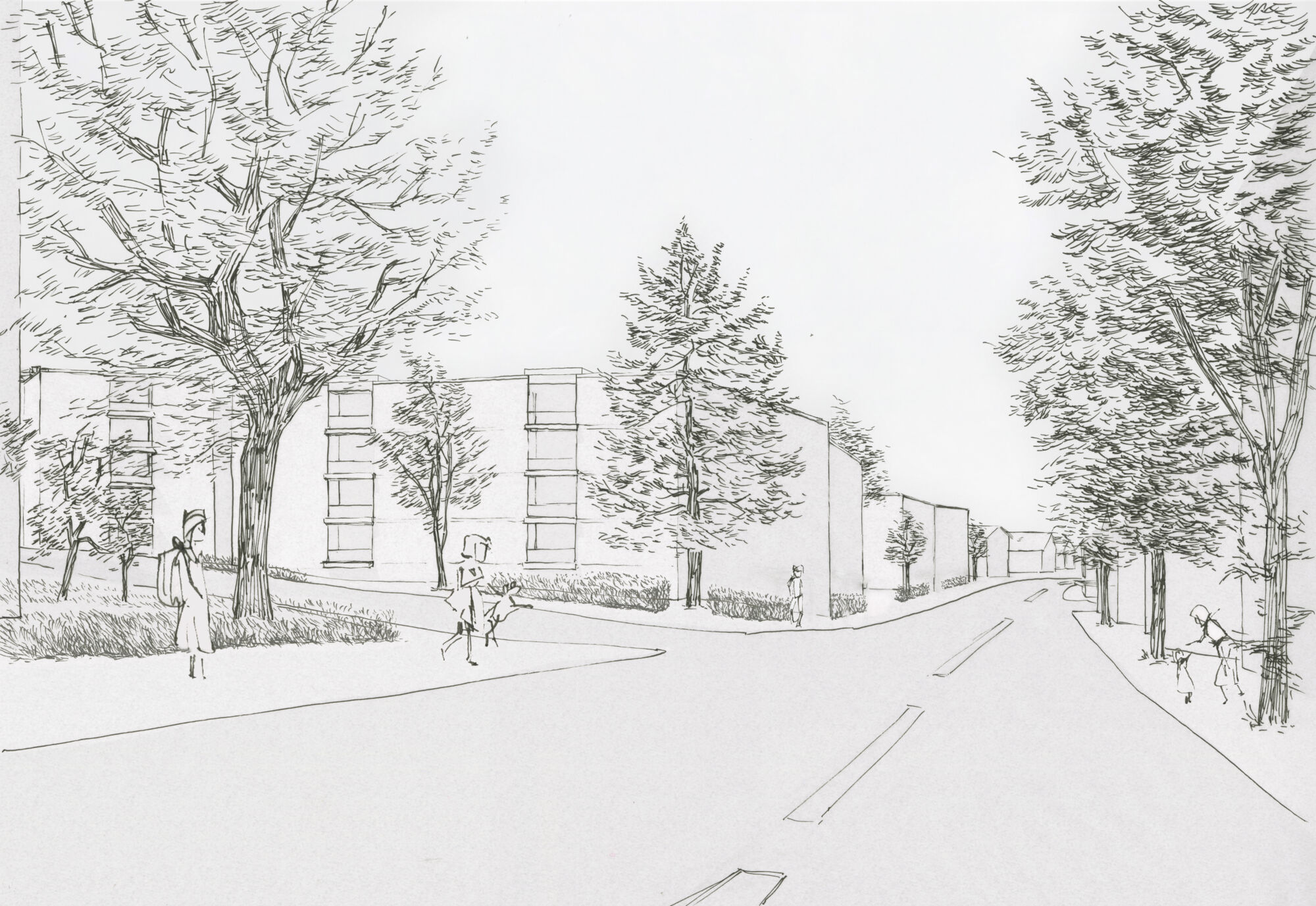 Goldacker WB Triemlistrasse Kopie