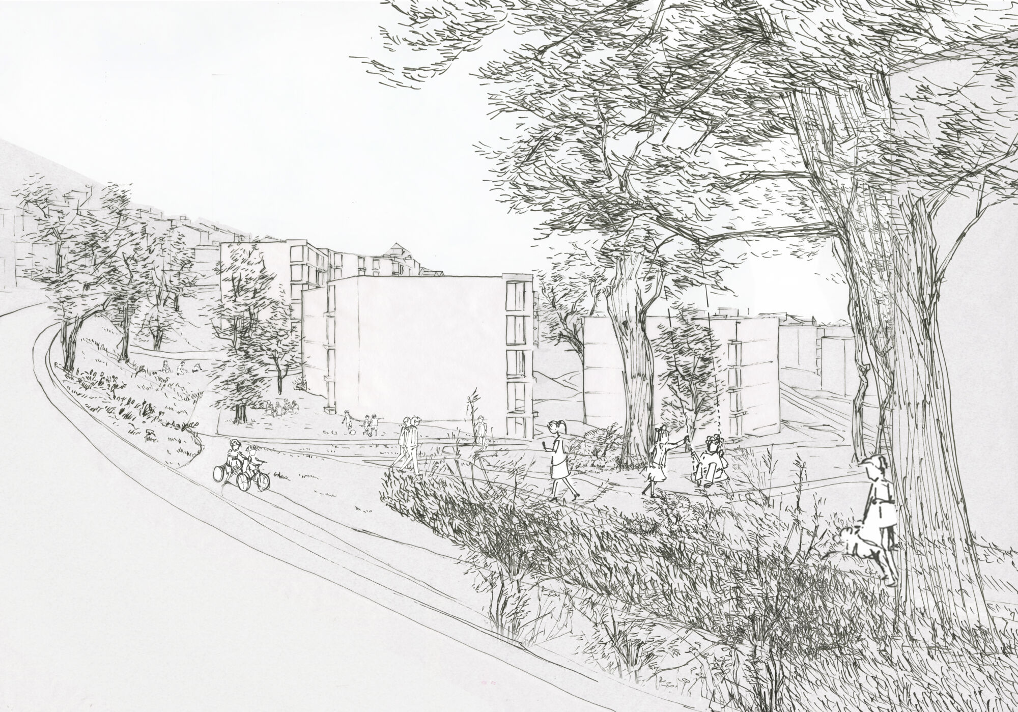 Goldacker WB birmensdorferstrasse