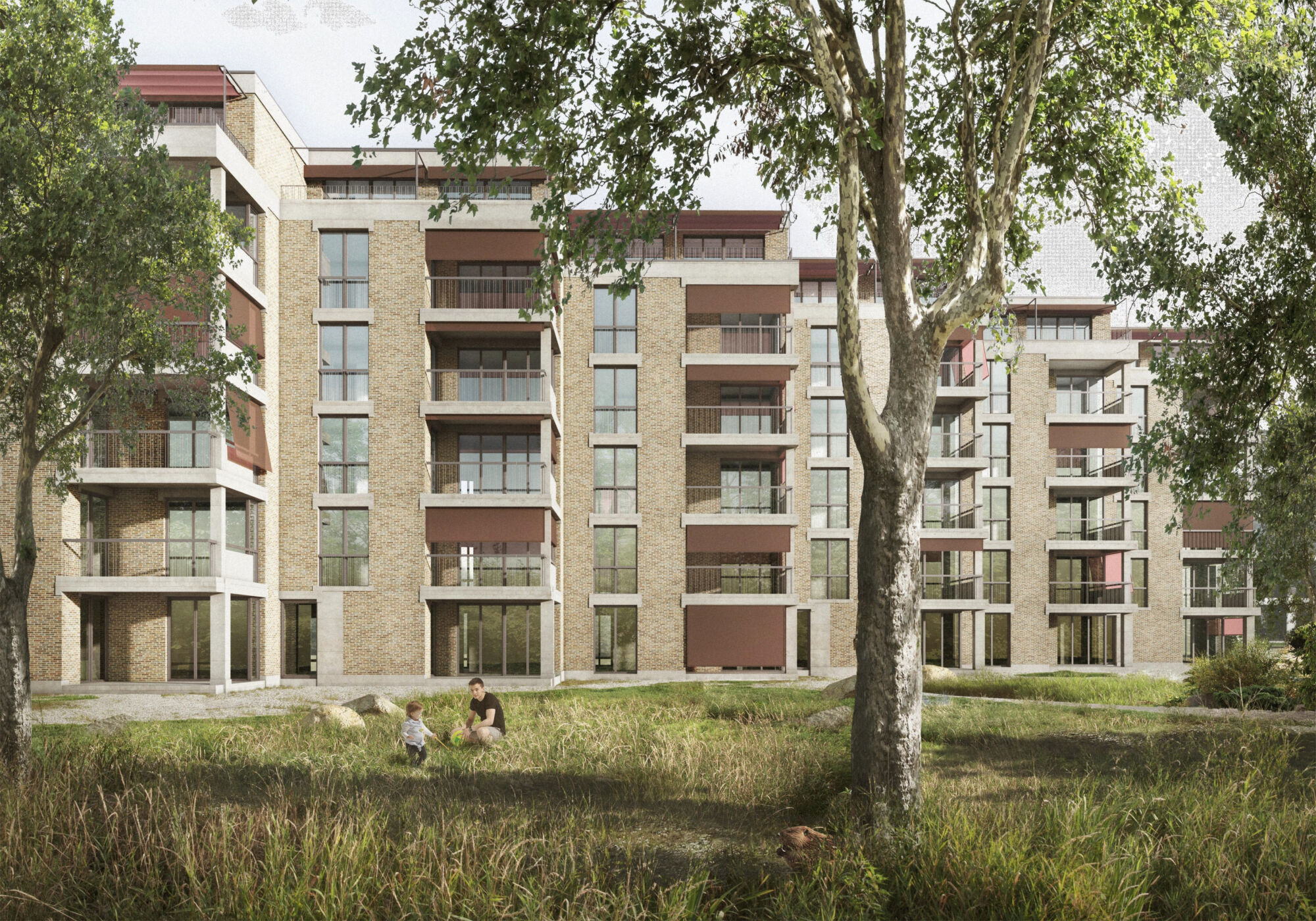 Birchlen WB Flussraum Visualisierung