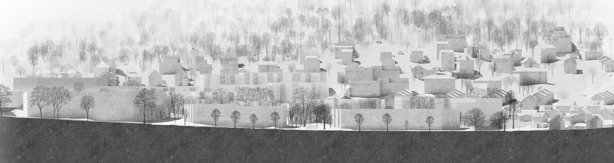 Goldacker WB Längsschnitt03